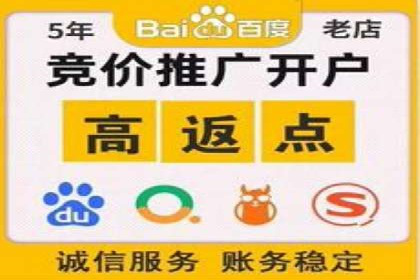 某汽车品牌如何通过SEM外包提升品牌知名度